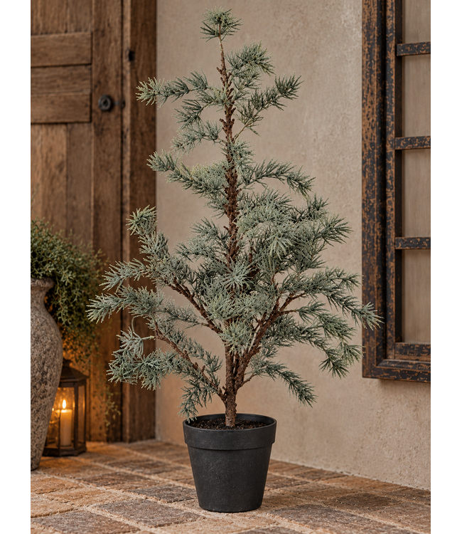 Countryfield Plant Larix M groen-35x35x80CM - potmaat 14 cm