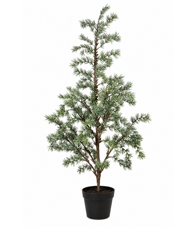 Countryfield Plant Larix L groen-50x50x105CM - potmaat 16 cm
