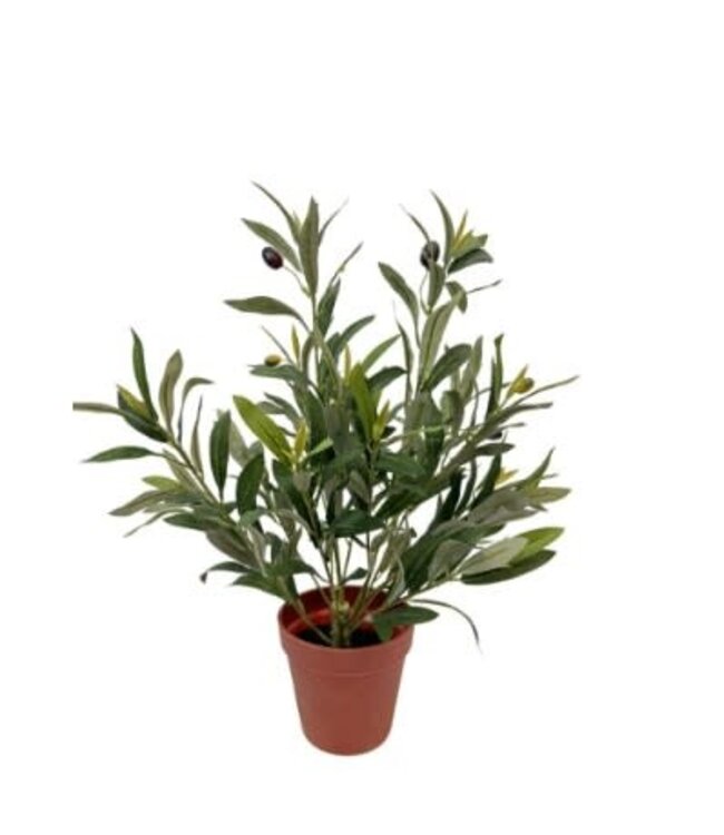 Kunstplant Olivio olea europaea 47cm