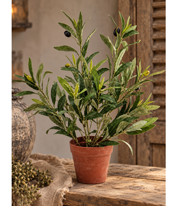 Kunstplant Olivio olea europaea 47cm