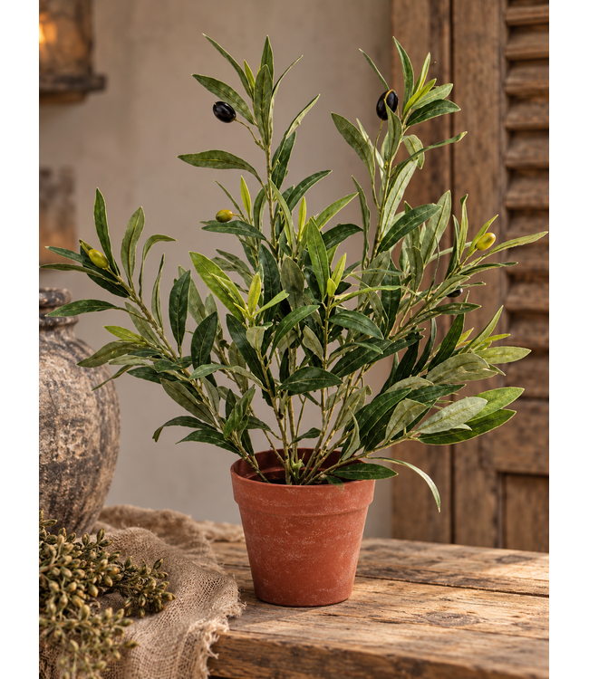 Kunstplant Olivio olea europaea 47cm