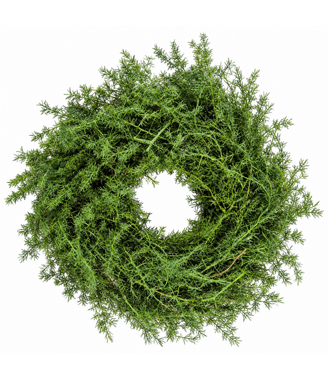 Wild asparagus kransje (natuurlijk materiaal) - ca, 20 cm