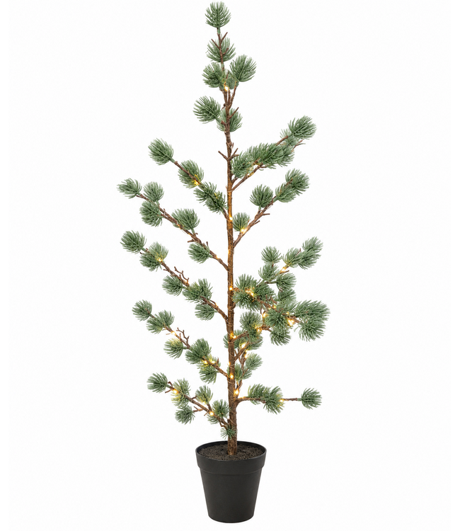 Larix boompje met verlichting