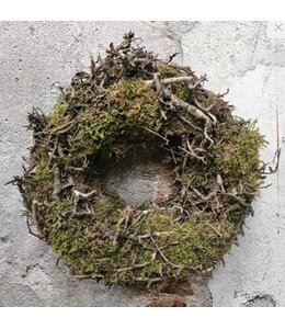 Natur Moss bonsai wreath 35cm