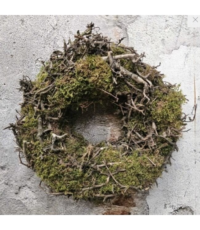 Natur Moss bonsai wreath 35cm