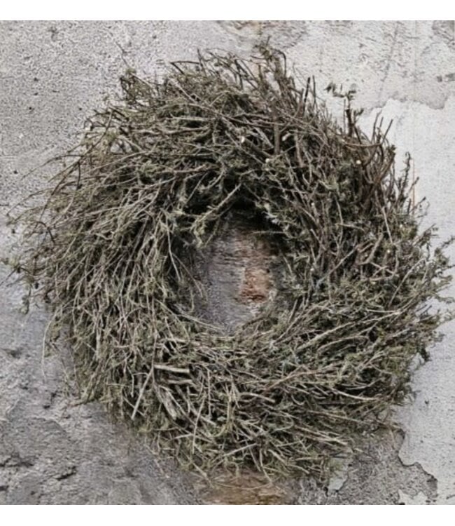 Natur Grey herb twig 40cm