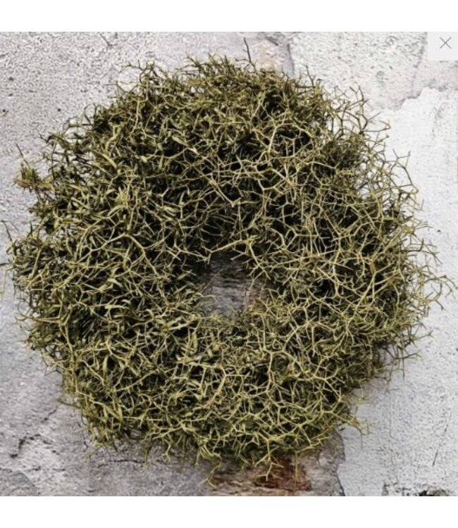 Natur Iron bush wreath naturel 30cm