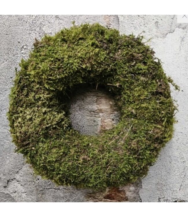 Natur Moss wreath thick 30cm