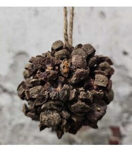 Rota bol bakuli 8cm