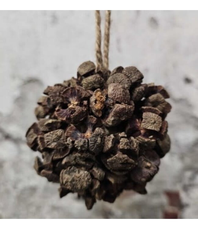 Rota bol bakuli 8cm