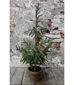 Demu boom terracotta pot H65cm
