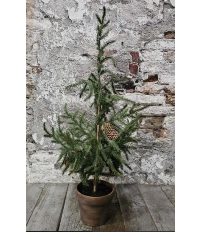 Demu boom terracotta pot H65cm