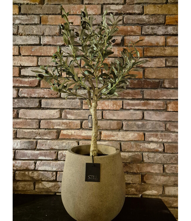 Still 25175 - Palm Pot S Latte - ca. 30 x 30 cm