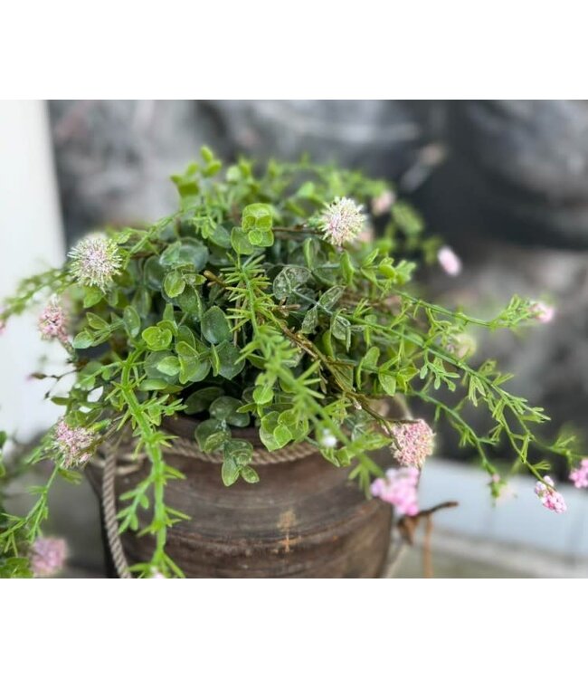Countryfield Deco halve bol Echinops/eucalipthus L roze-15B30H30CM