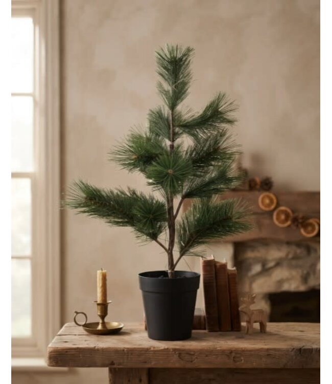 Noorse den M in pot -35 × 35 × 55 cm
