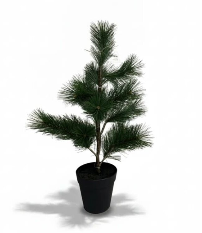 Noorse den M in pot -35 × 35 × 55 cm