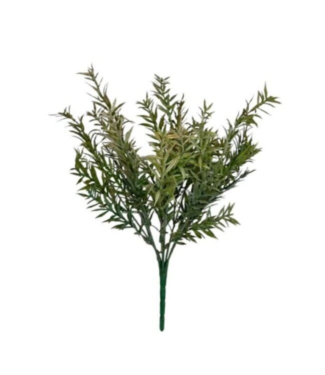 Rozemarijn bush brons