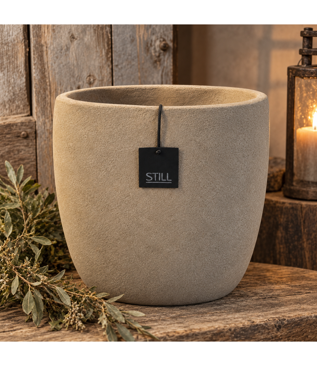 Still @ 25109 - Oval M Latte