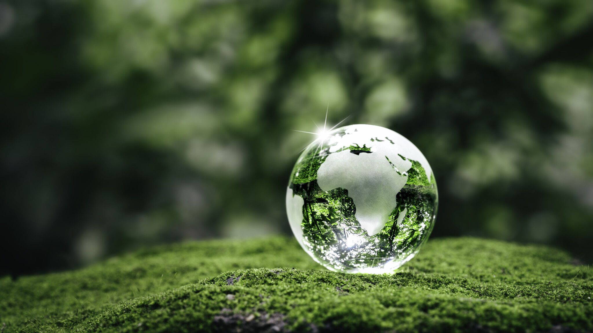 QRS bevestigt haar toewijding aan duurzaamheid door ondertekening van Green Deal 3.0