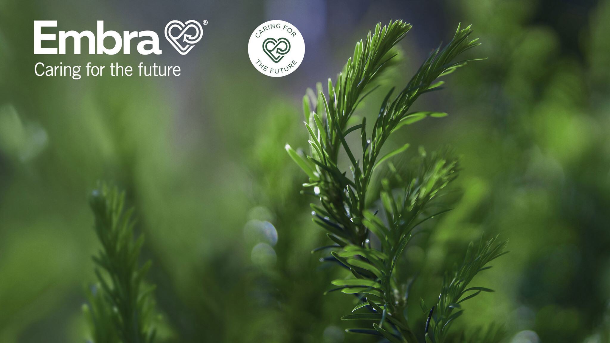 Lancering van nieuwe Embra producten