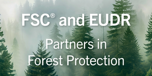 Blijvend verduurzamen met FSC tijdens aanbestedingen