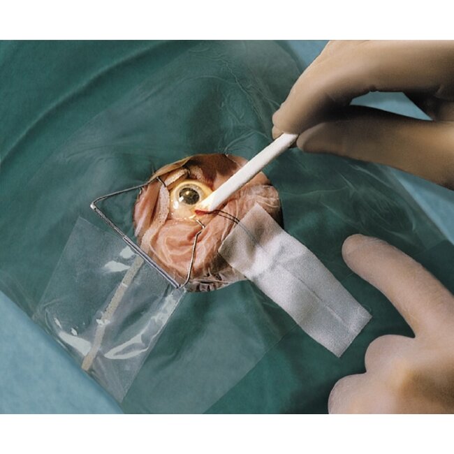 Pro-ophta staafjes 66 x 5 mm steriel (400 stuks)