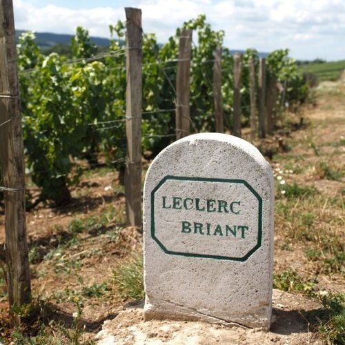 Leclerc Briant Les Basses Priéres 1er Cru Millésime Brut Zéro 2014