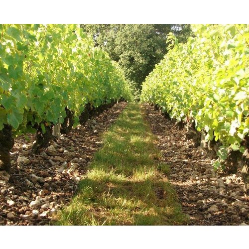 d'Orfeuilles Vouvray Sec Silex 2019