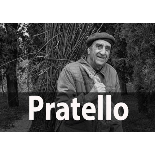 Pratello