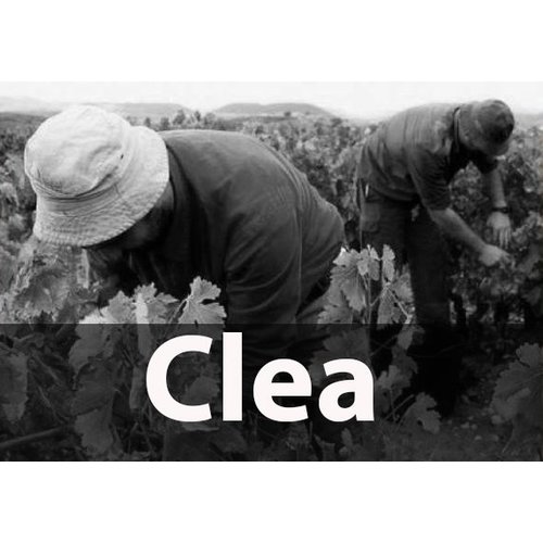 Clea