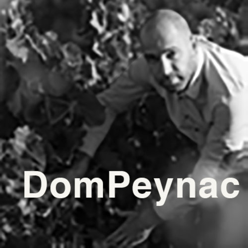 DomPeynac