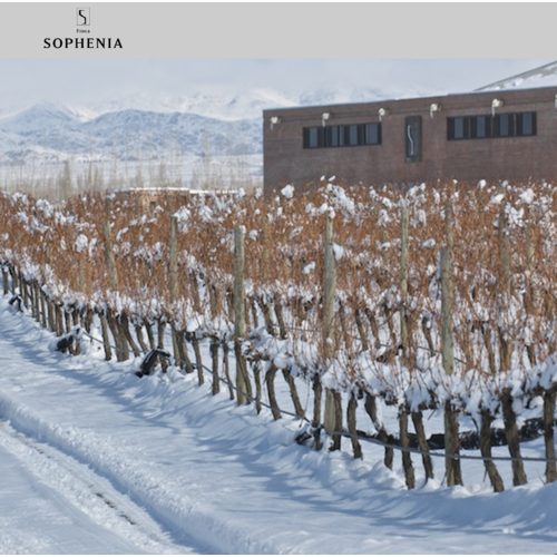 Sophenia Cabernet Sauvignon Reserve 2018