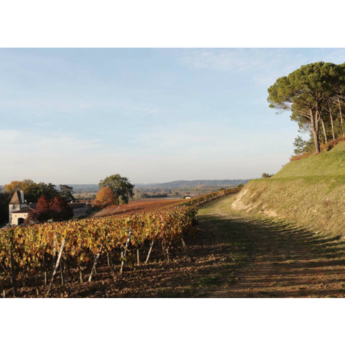 Jean Faux Sainte Radegonde Blanc 2020