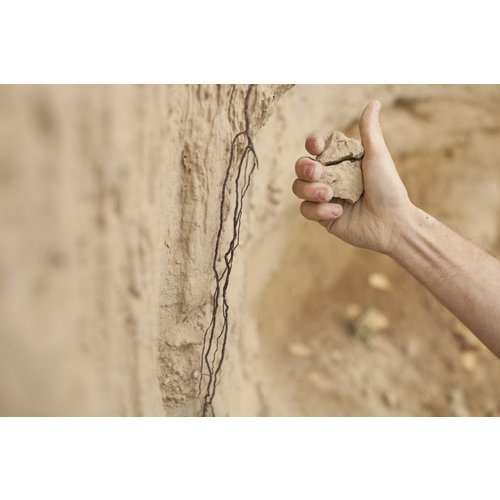 Mehofer Grüner Veltliner Klassik 2024