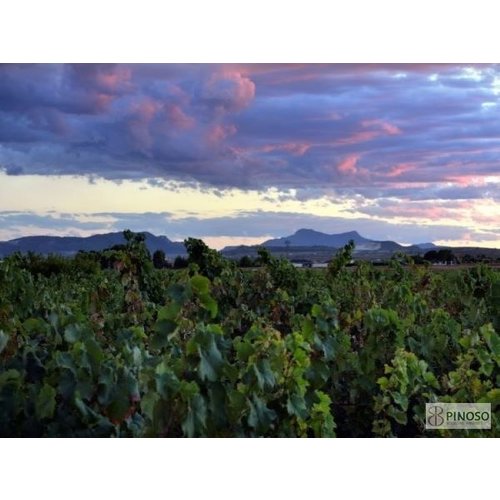 La Bodega de Pinoso Vergel Tinto 2021