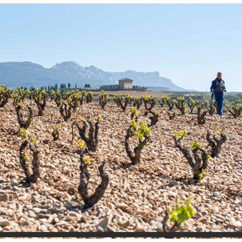 Lopez de Haro Lopez de Haro Rioja Reserva 2017