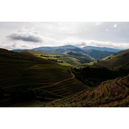 Morgadio da Calcada Late Bottled Vintage Port 2018