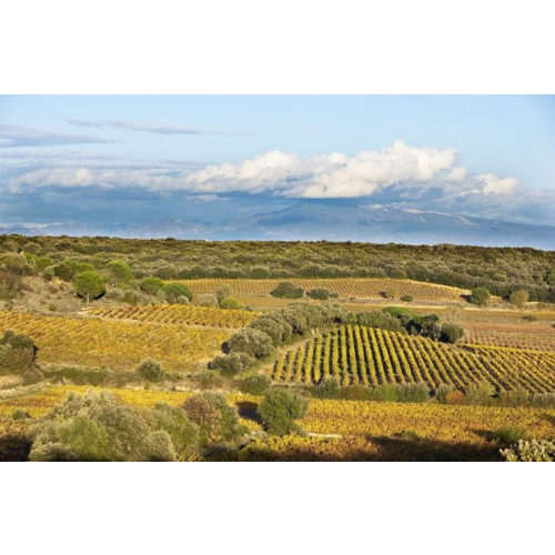 Château de Manissy Chateauneuf-du-Pape 2020