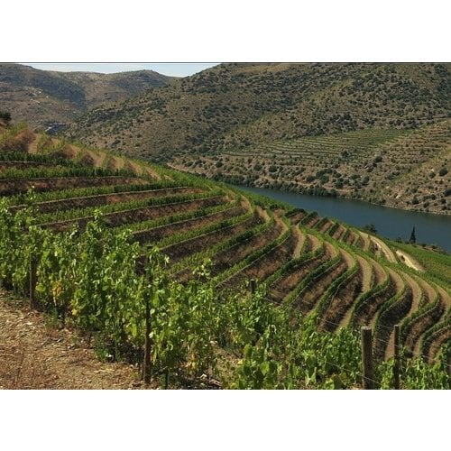 Quinta do Vallado Reserva Field Blend 2019