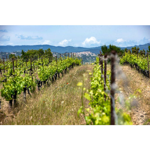 Domaine de Rousset Les Coquelicots Rosé 2022