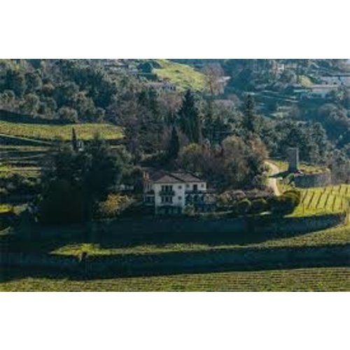 Quinta de Santa Teresa A&D Monólogo Avesso Bio 2022