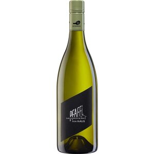 Pfaffl Pfaffl Vom Haus Sauvignon Blanc 2023