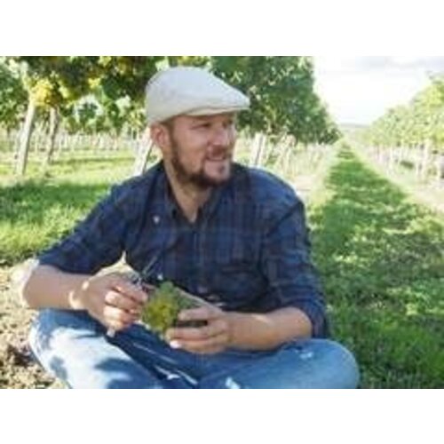 Weingut Hollerer Höllerer Karl Chardonnay 2023