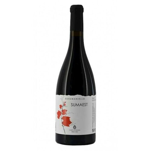 Cantina Sampietrana Sampietrana Susumaniello Sumaest 2019
