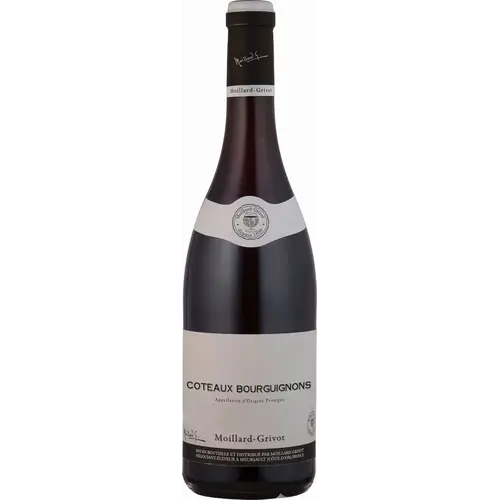 Maison Moillard-Grivot Moillard-Grivot Coteaux Bourguignons 2025 Maison Moillard-Grivot Moillard-Grivot Coteaux Bourguignons 2025
