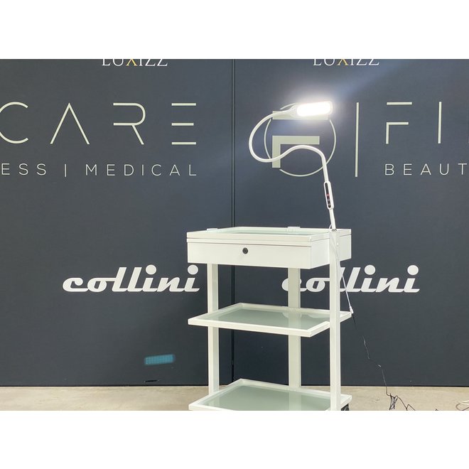 Collini Luma Table Clamb elegant work lamp with clamp