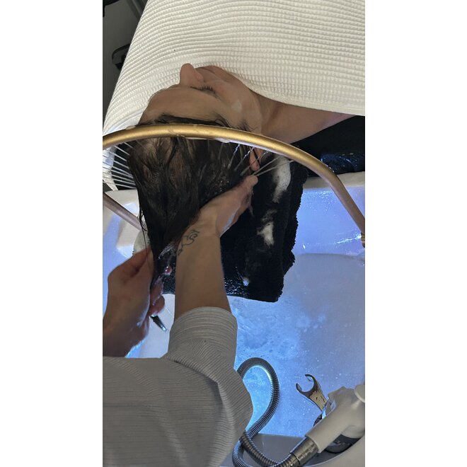 Japanese Head spa Course