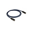 DAP DAP FL58 CAT6E with Ethercon 15 m Neutrik