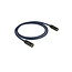 DAP DAP FL58 CAT6E with Ethercon 6 m Neutrik