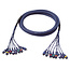 DAP DAP FL65 - 8 RCA/M > 8 RCA/M 6 m